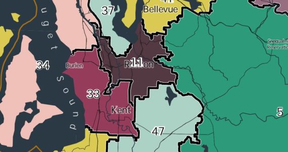 Screenshot of legislative district maps in Renton area.