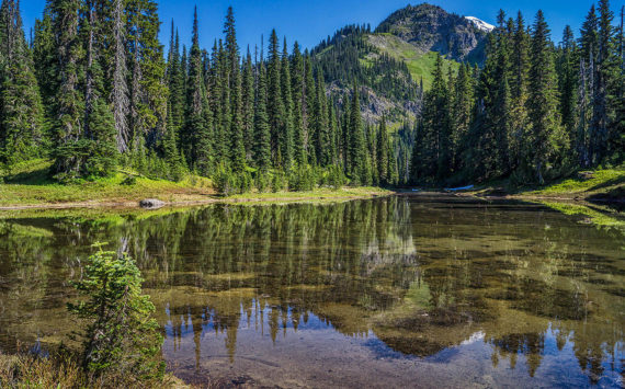 Photo courtesy of Rich Border
The newly-renamed Kiya Lake, located on Mt. Rainier’s Wonderland Trail.