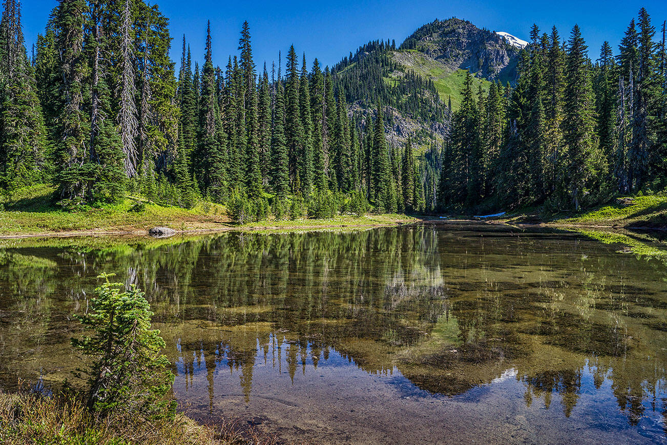 Photo courtesy of Rich Border
The newly-renamed Kiya Lake, located on Mt. Rainier’s Wonderland Trail.