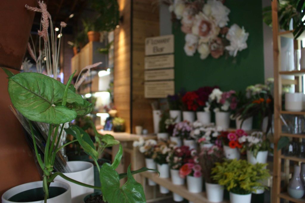 Renton’s Urban Sprouts is local utopia for new and experienced plant