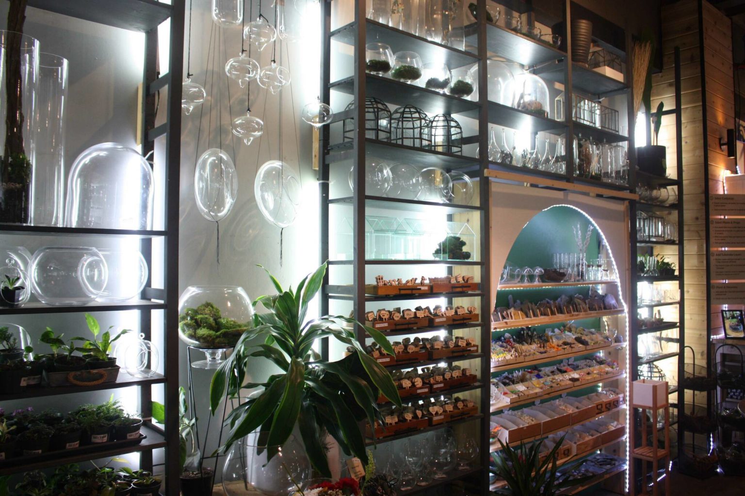 Renton’s Urban Sprouts is local utopia for new and experienced plant