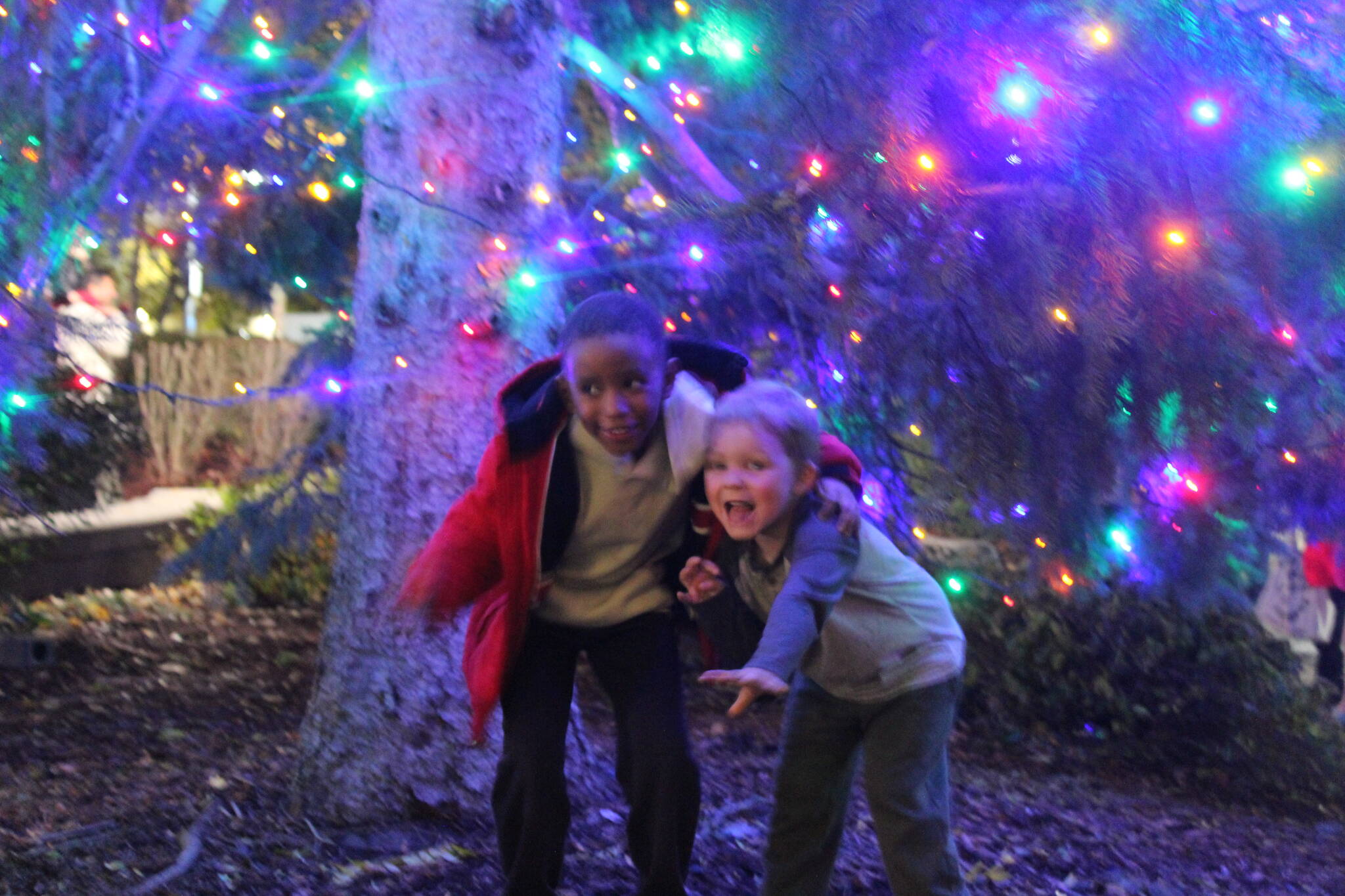 Two boys pose for a photo under the Renton Christmas tree in Piazza Park. Photo by Bailey Jo Josie/Sound Publishing.