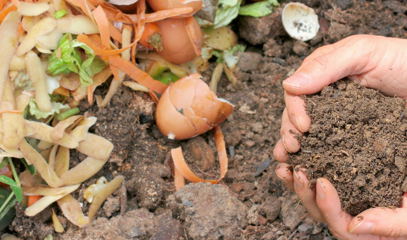 Composting is a great way to reduce waste because it keeps food scraps and yard waste out of the landfill.