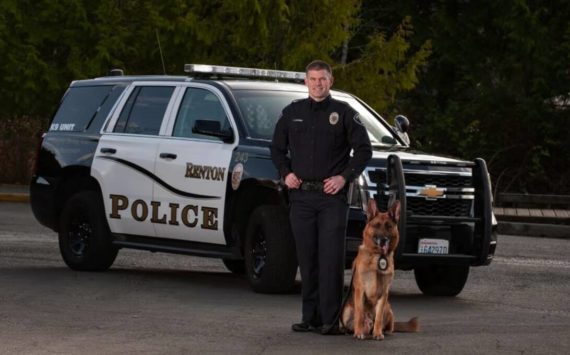 K9 Odin and his partner Officer Moynihan. Photo courtesy of Renton Police