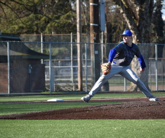 Liberty starter sophomore Ryan Boehm pitches in the first of three innings at Hogan Park. Ben Ray / The Reporter