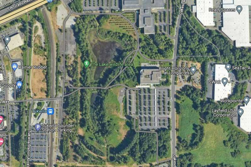 Screenshot from Google Maps
The Seattle Sounders FC Center at Longacres at 1901 Oakesdale Ave SW adjacent to the Springbrook Creek Wetland.