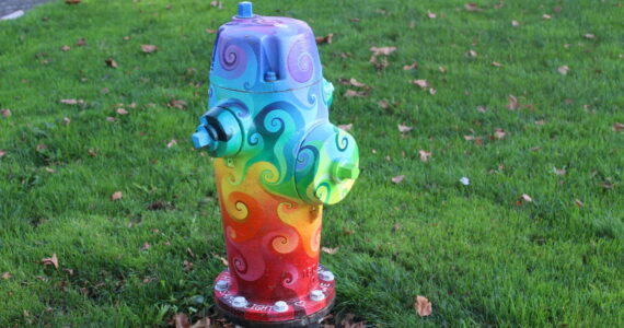 Painted fire hydrants have become a staple of South Renton. Photo by Bailey Jo Josie/Sound Publishing