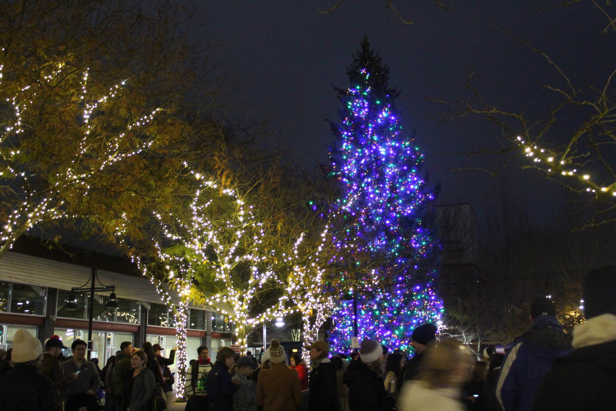 Photo by Bailey Jo Josie/Sound Publishing.
A large crowd gathered in Piazza Park at 5 p.m. for the Tree Lighting.