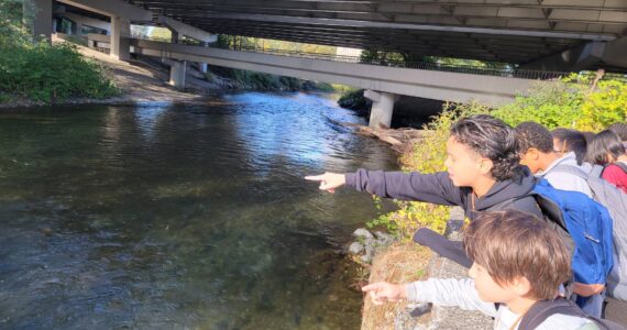Photo courtesy of Carolyn Colley.
Students look for salmon in the Cedar River in October 2022.