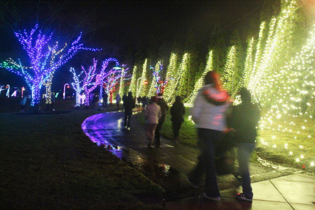Renton Winter Lights illuminate Gene Coulon Park Renton Reporter