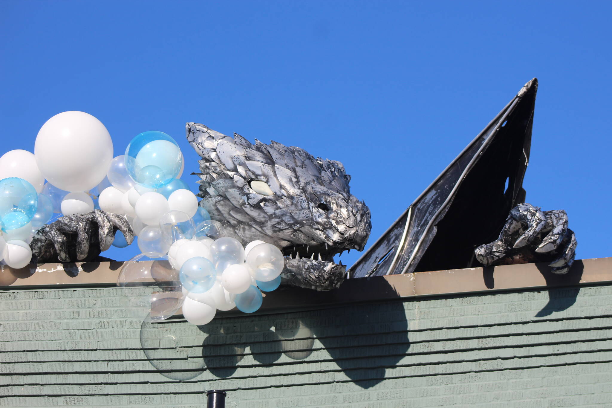 Happy Hatching month to Erasmus the Dragon. Photo by Bailey Jo Josie/Sound Publishing