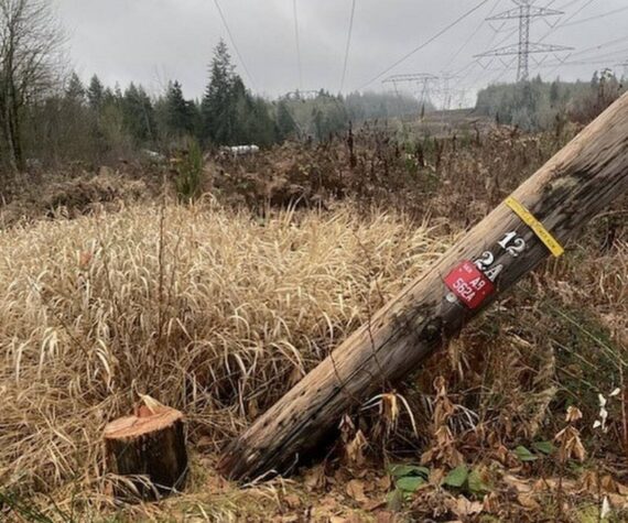 A scene of the recent vandalism to electrical infrastructure near Renton. Photo courtesy of King County Sheriff’s Office