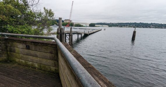 Overlook of Lake Washington at Gene Coulon Park in Renton. File photo