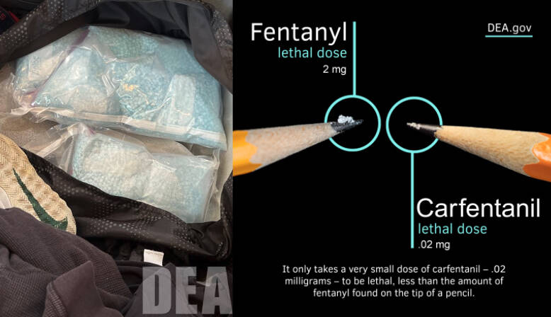 Courtesy photos 
A photo from the seizure and a photo showing carfentanil’s lethality.