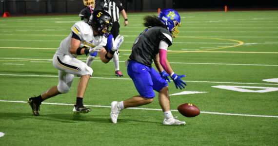 A Hazen receiver drops a pass against Inglemoor. Ben Ray / The Reporter
