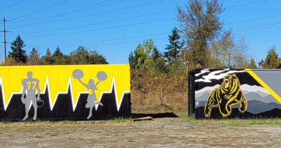 The murals are on shipping containers on the Benson Bruin Football Association’s property. Photo provided by Rick Moreno