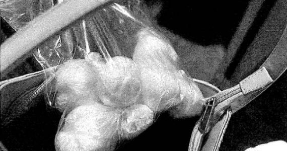 Fentanyl recovered from the raid. From charging documents.