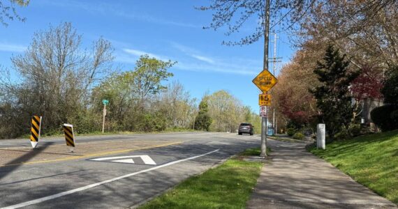 Speed cushions along Lake Washington Boulevard have reduced speeding on the street, according to a 2024 traffic study. File photo