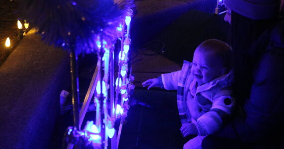 Small children went gaga for last year's Clam Lights in Renton. This year's event is Dec. 5. Photo by Bailey Jo Josie/Sound Publishing