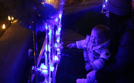 Small children went gaga for last year's Clam Lights in Renton. This year's event is Dec. 5. Photo by Bailey Jo Josie/Sound Publishing