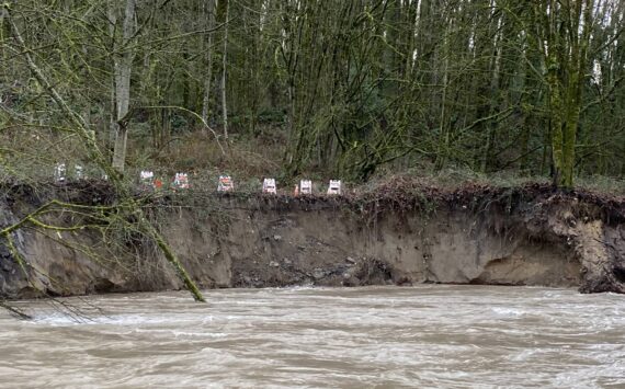 The flood in 2020 caused large amounts of the embankment of the Cedar River to wash away in places. Photo courtesy of the city of Renton