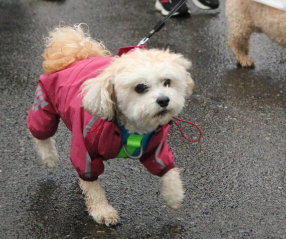 Photo by Bailey Jo Josie/Sound Publishing.