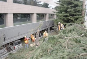 City of Renton parks maintenance workers