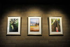 Olga Zolotsev's photography exhibition is featured at Carco heater till April 28.