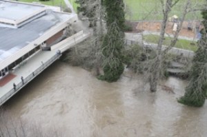 The Cedar River ran dark brown and inundated the trail next to Liberty Park Thursday