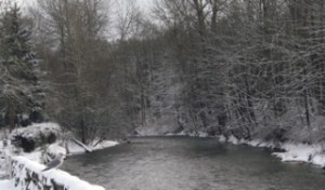The snow provides an idyllic background for the Cedar River as it runs next to the Carco Theater downtown Monday. Even with some gentle coaxing