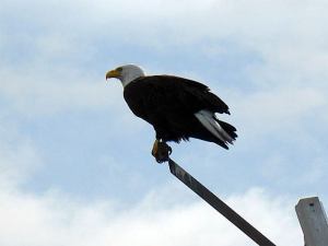 “When it became very windy on Tuesday afternoon