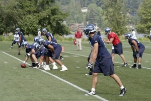 Seahawks: Don't miss your chance for single-game tickets