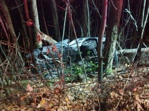 Renton Police are investigating the cause of this early morning crash on South Puget Drive.