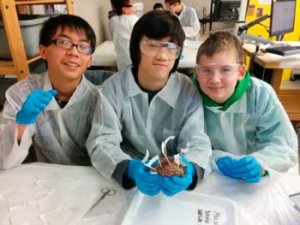 McKnight Middle School students Luca He