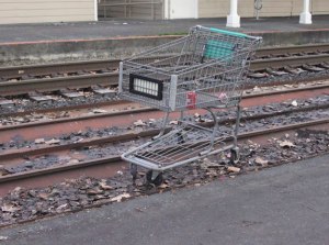 The city is adding teeth to its shopping cart ordinance