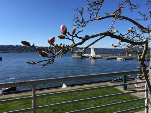 Spring is a few weeks away