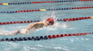 Renton's Steve Sholdra swims at the 2A state meet.