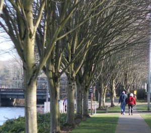 Last weekend's sunny weather called for a stroll down Jones Park.