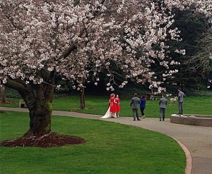She got that ring by spring! Editor Brian Beckley got a shot of a wedding party getting their photos taken behind the senior center.
