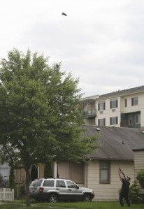 Renton Police Officer Shawn Tierney takes aim at a crow in a tree on Williams Avenue South late Thursday afternoon