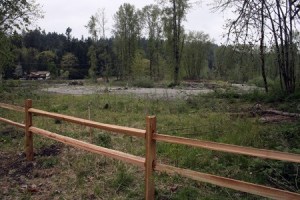 Cedar fence installed to keep people away from changing Cedar River. Lower: King County will remove this ‘pinch point’ on the Cedar River near Cedar Rapids that was created when the county made emergency levee repairs two winters ago when the Cedar was running at high levels. Bottom: This log jam on the west side of the Cedar River near State Route 169 has been in place for years but still draws safety concerns.