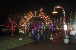 The Ivar's Clam Lights at Coulon Park opened Friday and runs through Jan. 1.