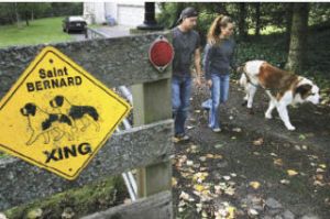 Todd and Christy Schlegel