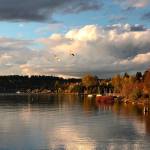 A cloudy, blue sky drapes over Lake Washington during one of the unusually sunnier days in October. (Photo courtesy: Gordon Steklenburg)