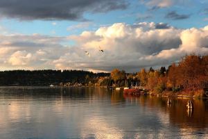 Expect weekend showers | WEEKEND WEATHER