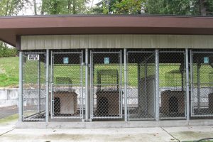 City partners with new veterinary hospital for animal sheltering