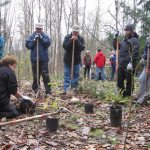 Growing Together | GALLERY