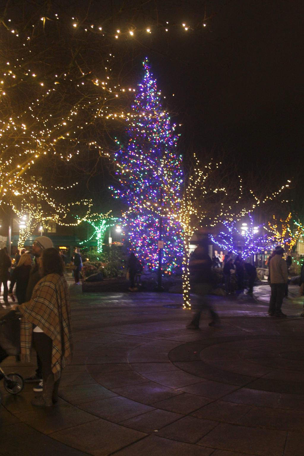 Renton kicks off holiday season with tree lighting, Santa arrival | PHOTO GALLERY