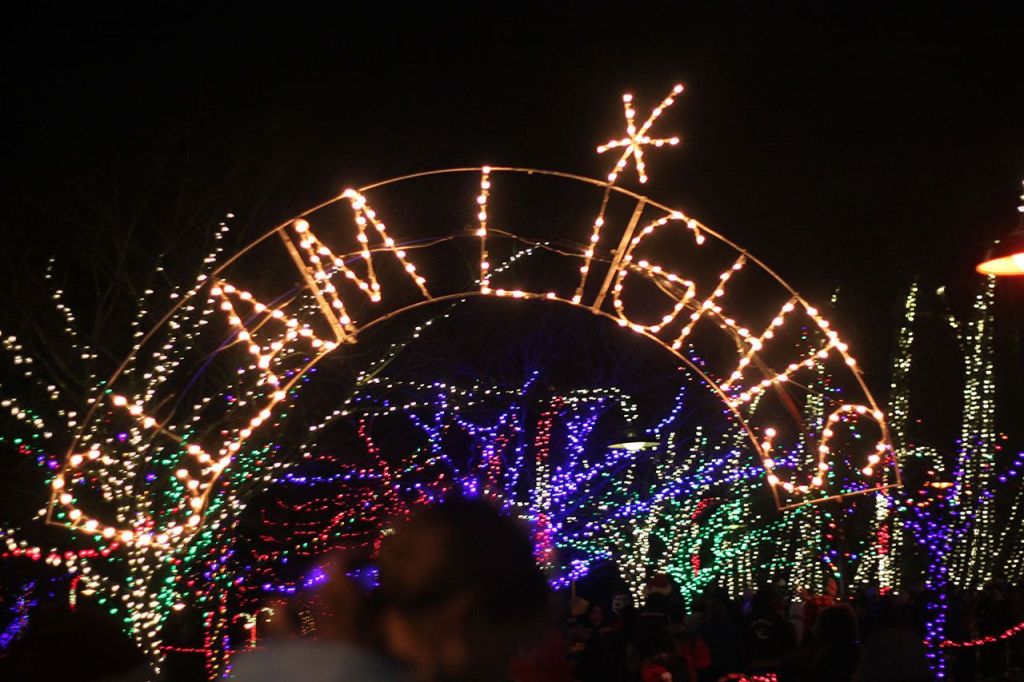 2016 Ivar’s Clam Lights | GALLERY