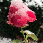 Winter storm watch on Monday evening | WEATHER UPDATE